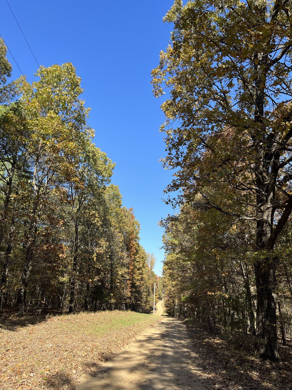 Country road to mom's house, photo by JazMat