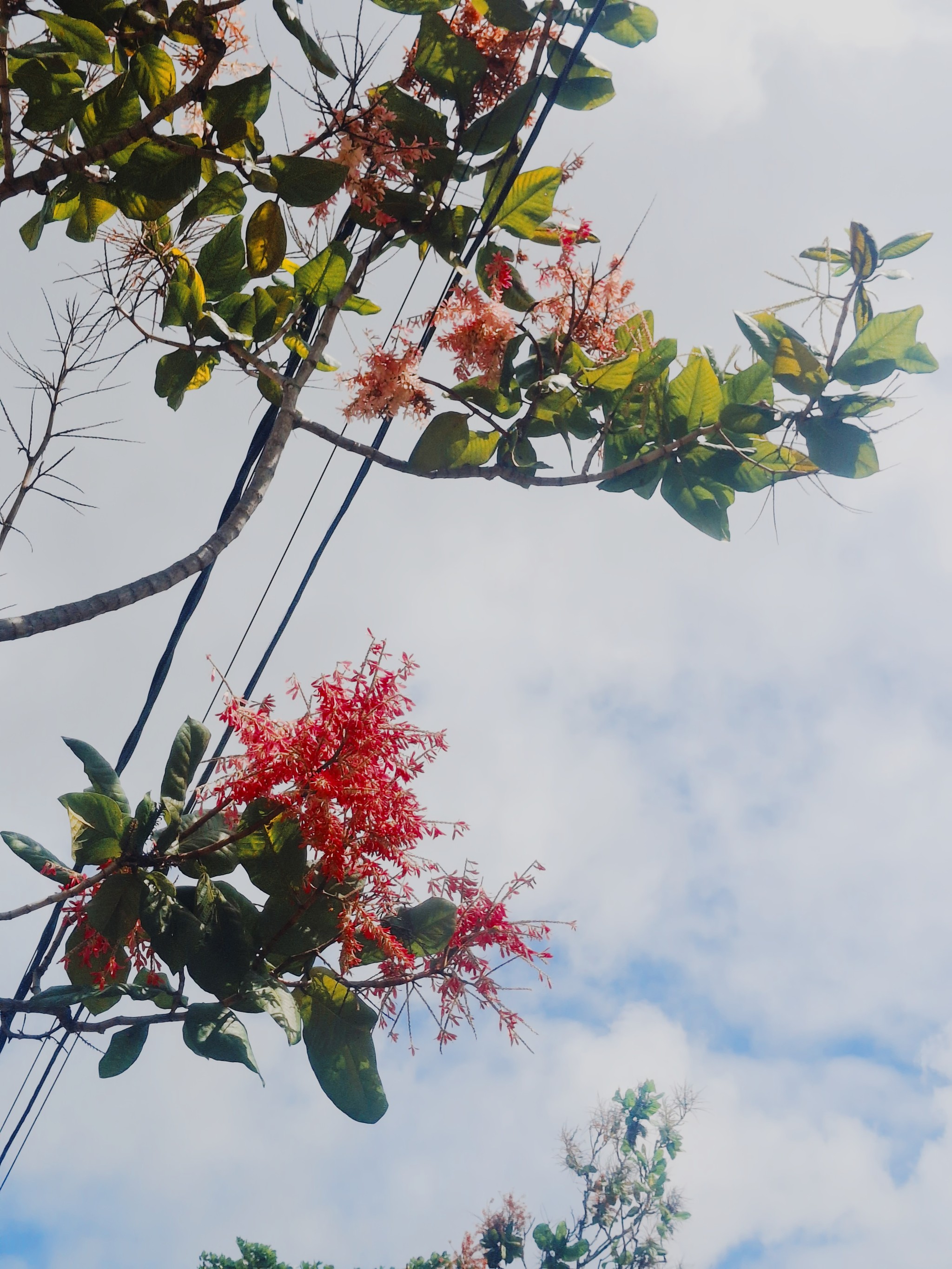 Sometimes the answer is to look up.