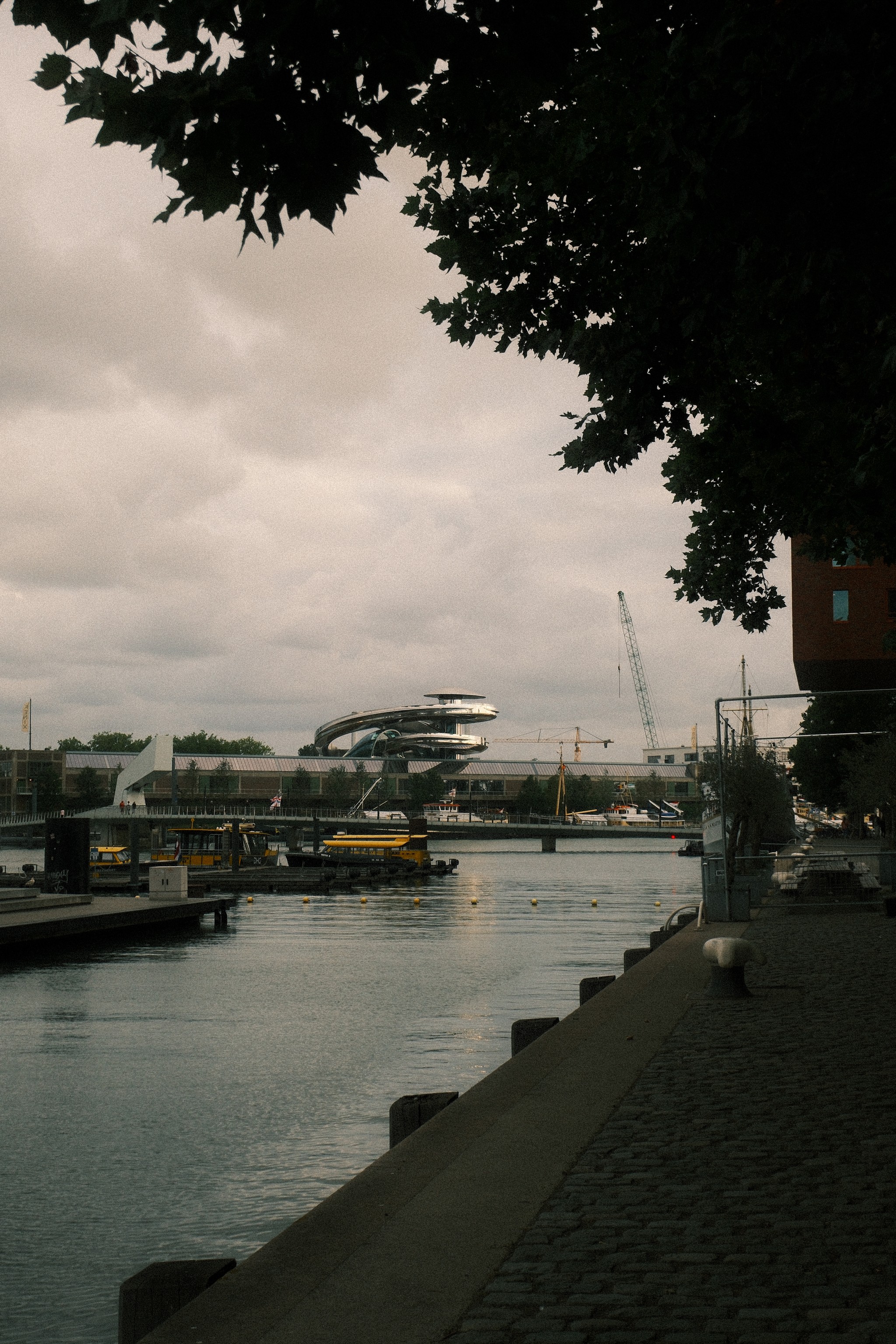 Fenix, Rotterdam