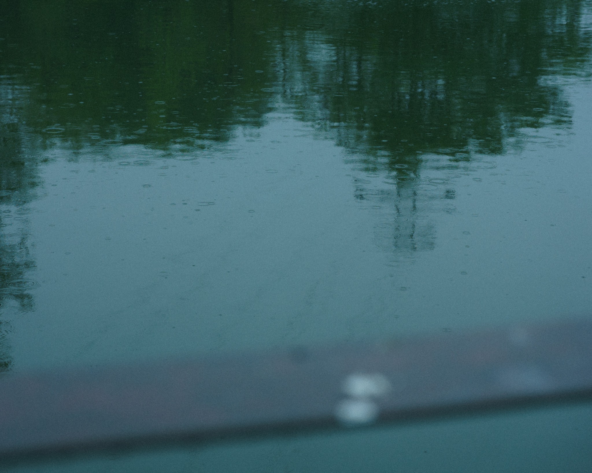 May 2026, photo by quietpresence