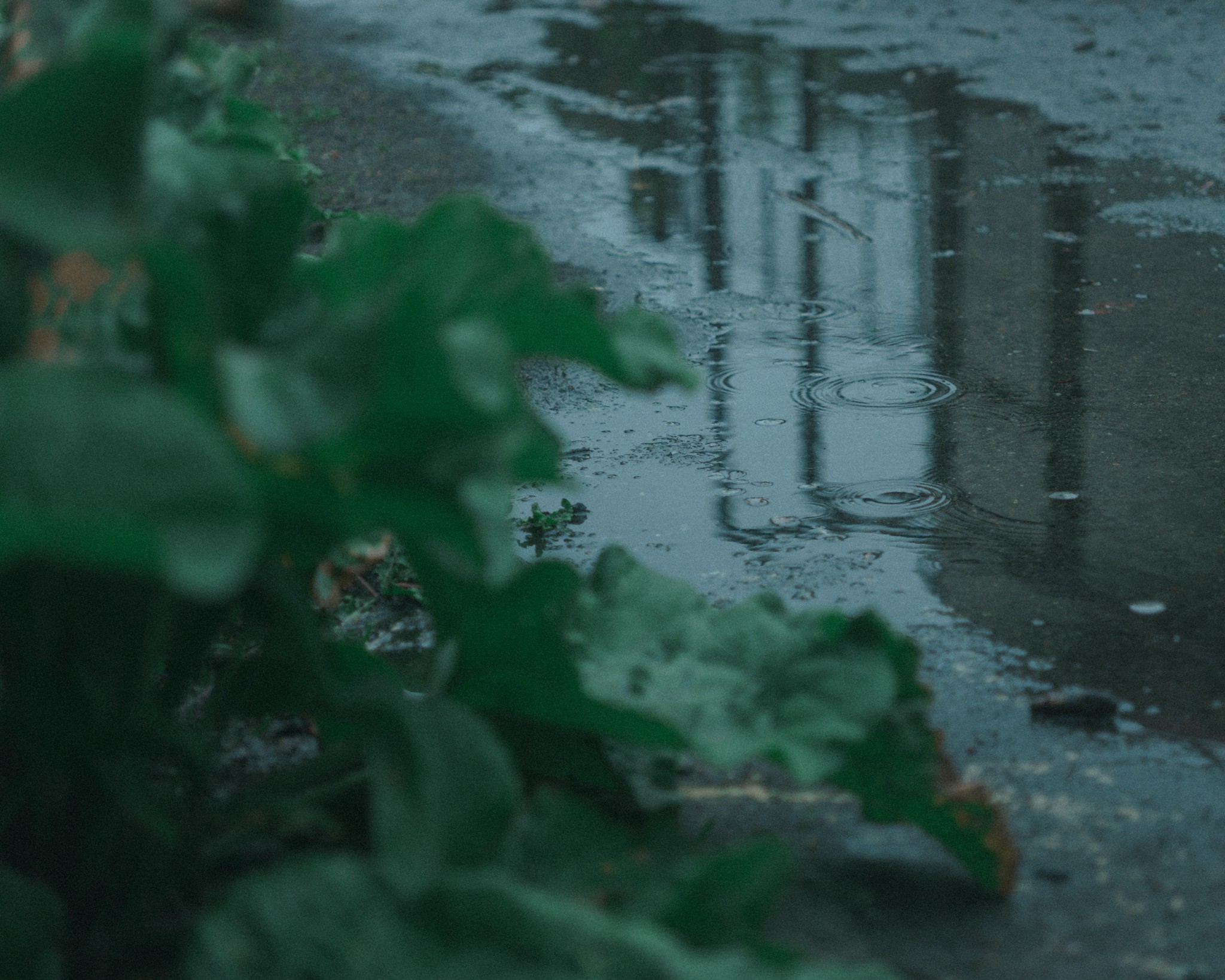 May 2026, photo by quietpresence