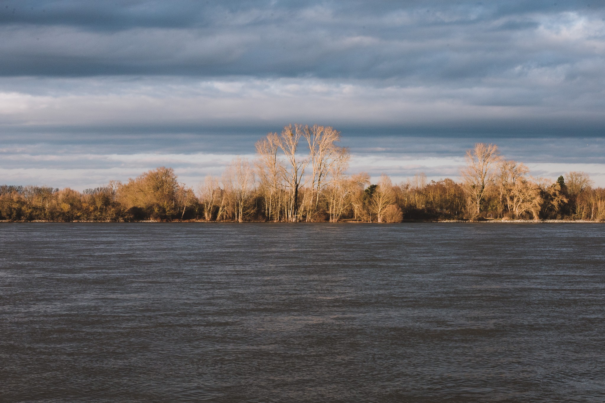 River Rhine, photo by Timon takes photos