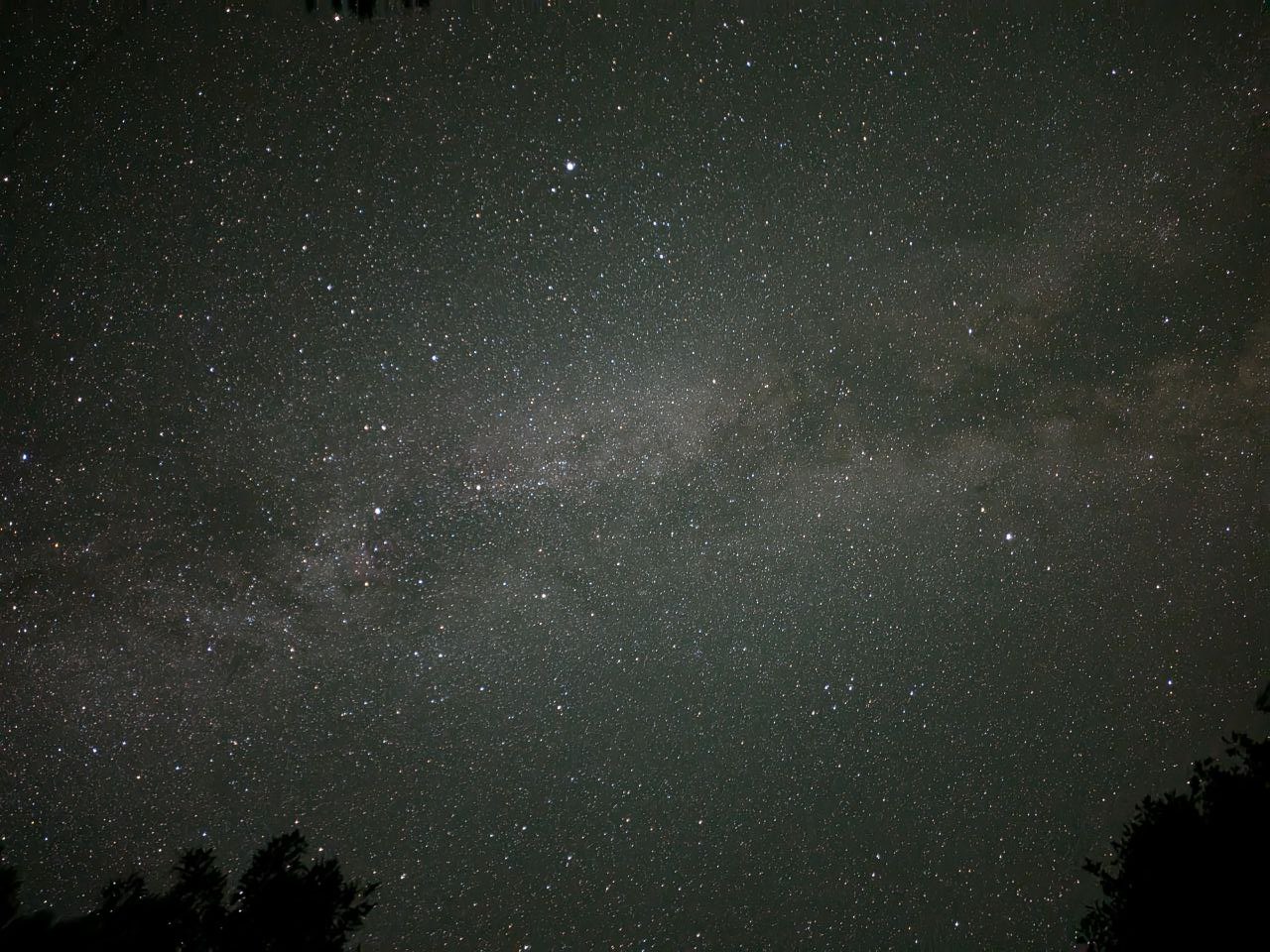 a gorgeous shot of the night sky