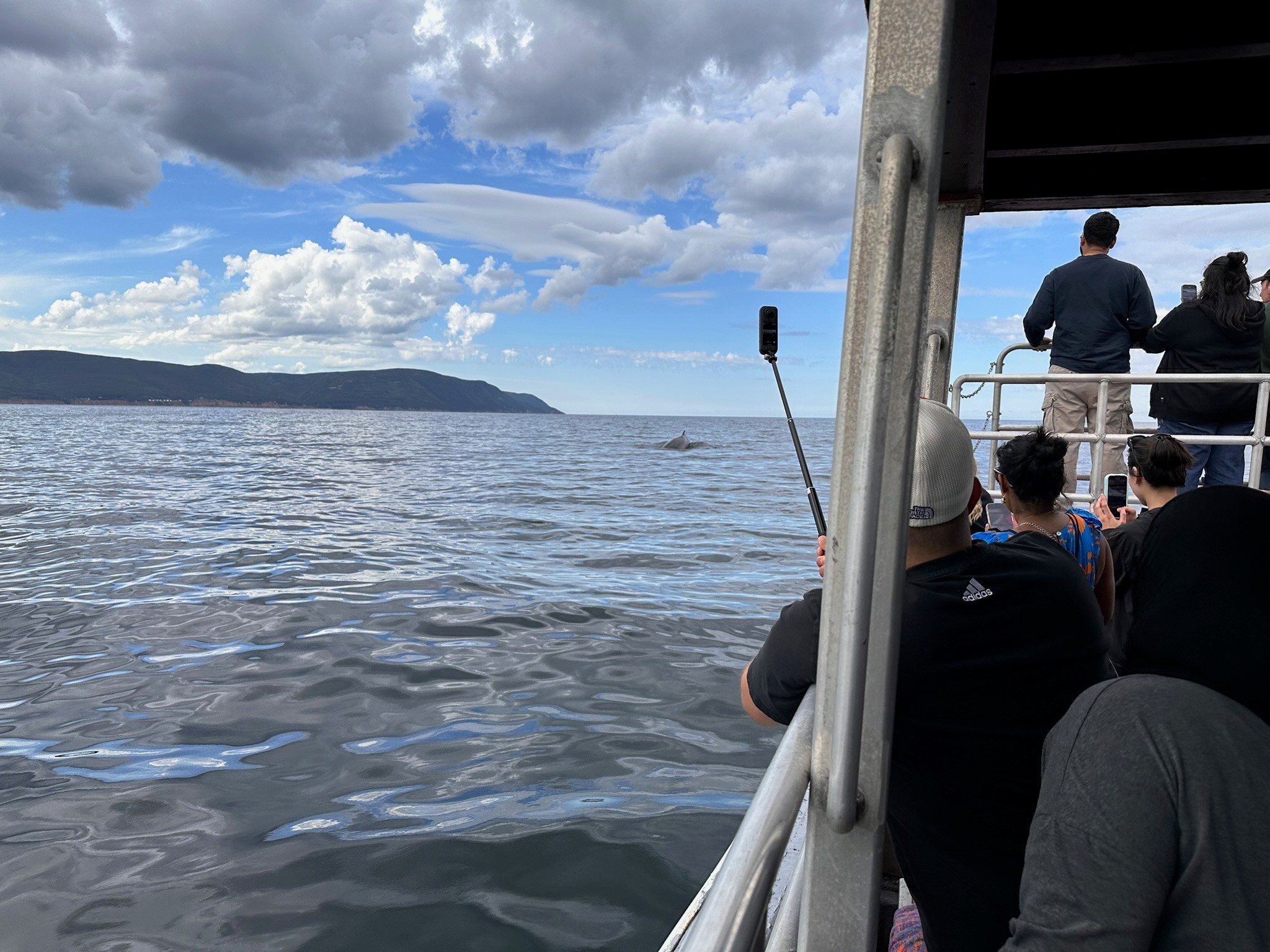 Whale watching on Cape Breton, photo by Kevin’s Photos