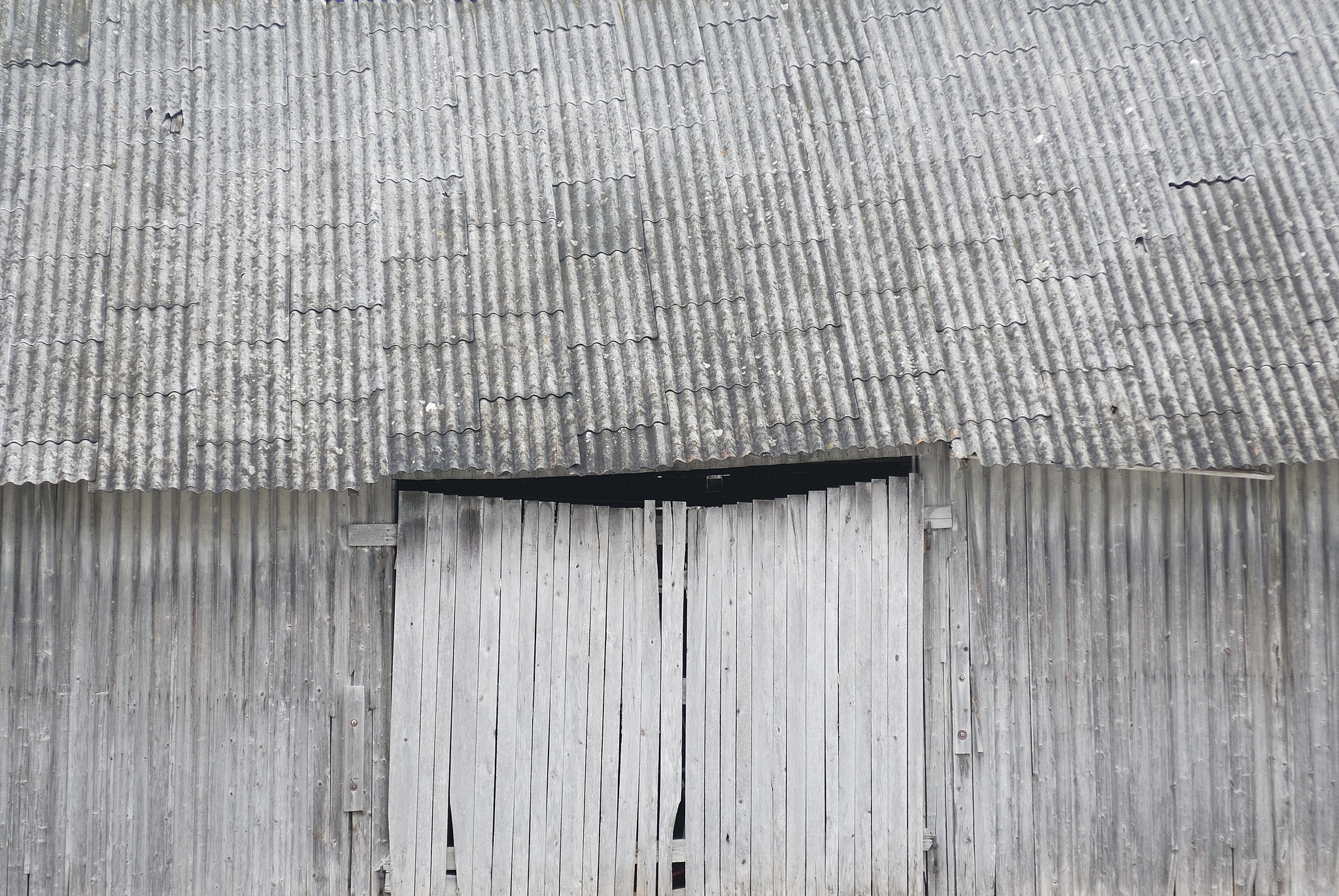 šķūnis