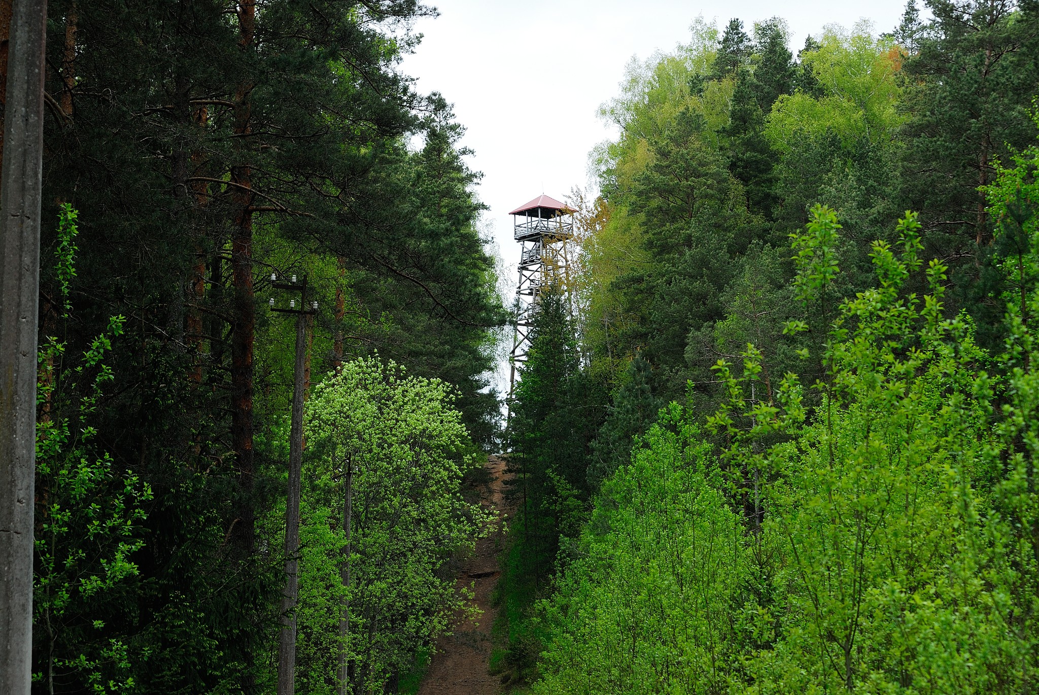 zaļie kalni, photo by vnkrskdr